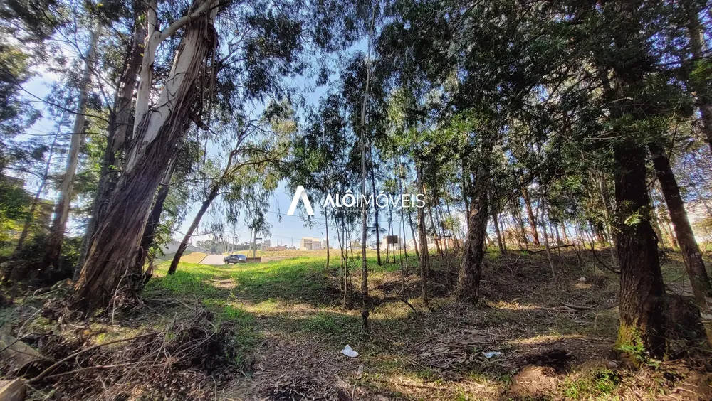Terreno, 9006 m² - Foto 10