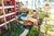 Apartamento, 1 quarto, 55 m² - Foto 8