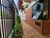 Apartamento, 3 quartos, 74 m² - Foto 2