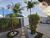 Casa, 3 quartos, 260 m² - Foto 5