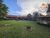 Casa, 4 quartos, 358 m² - Foto 2