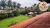 Casa, 5 quartos, 500 m² - Foto 2