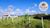 Terreno, 1543 m² - Foto 4