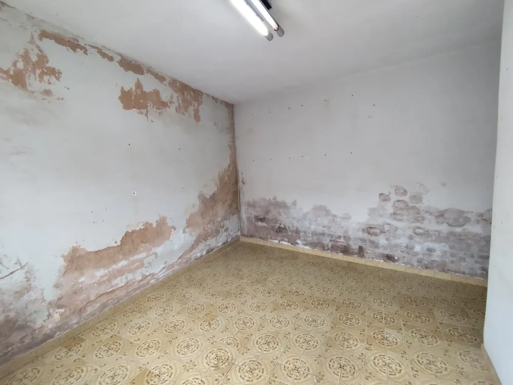 Casa, 6 quartos, 360 m² - Foto 3