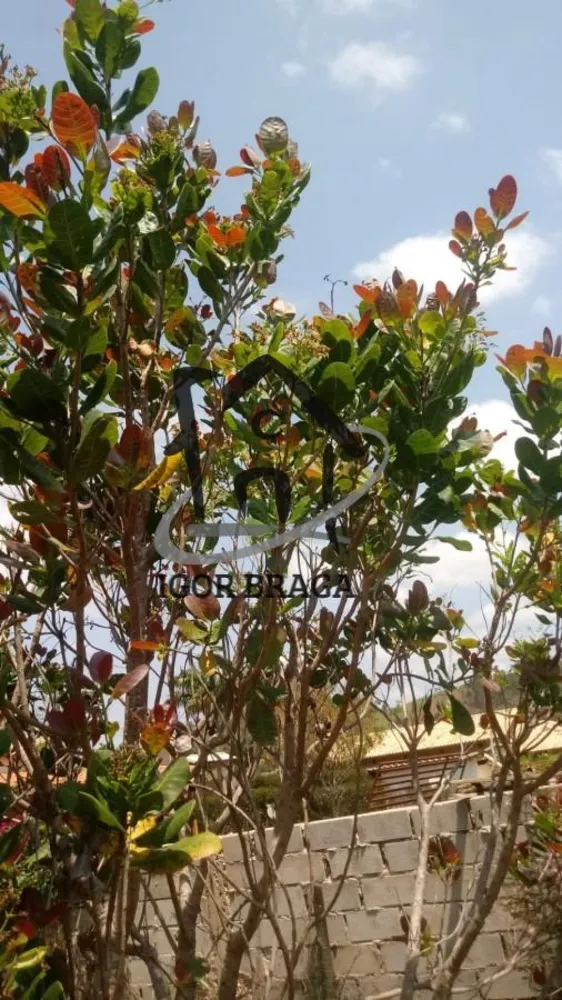 Fazenda, 1500 m² - Foto 7