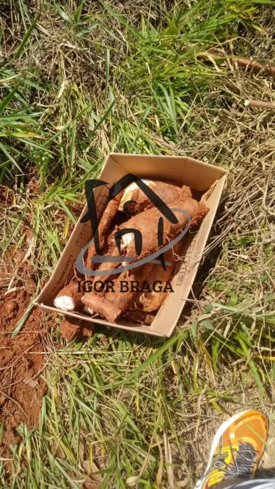Fazenda, 1500 m² - Foto 3