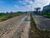 Terreno, 360 m² - Foto 4