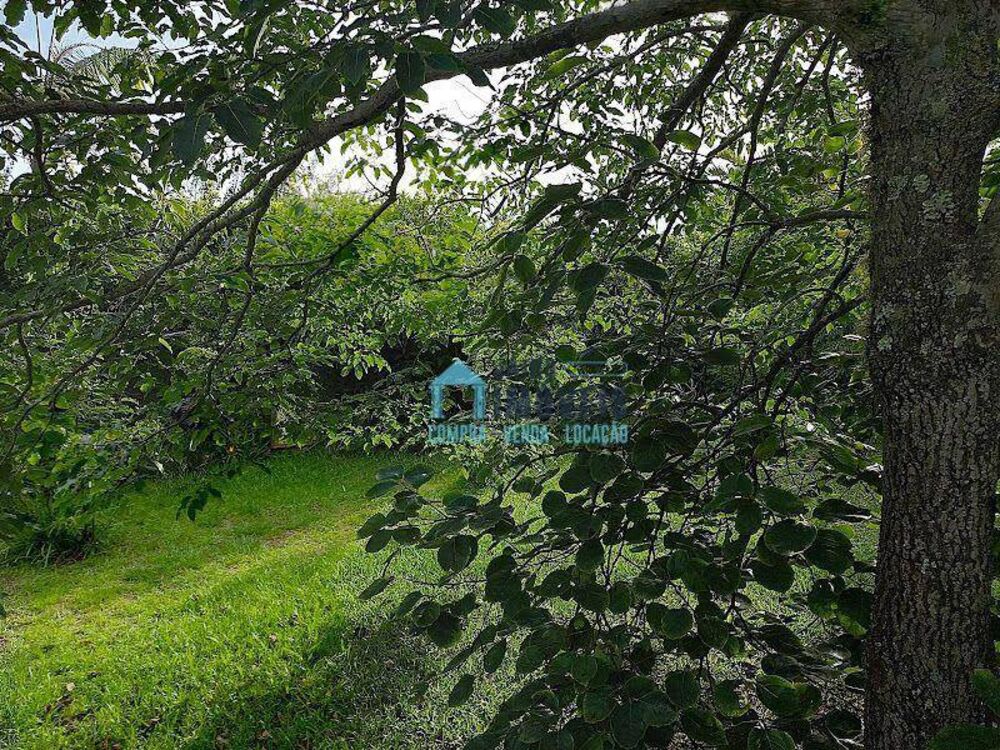 Terreno, 450 m² - Foto 4