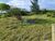 Terreno, 450 m² - Foto 4