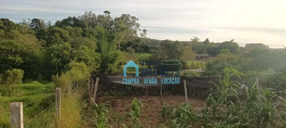 Sítio, 3 quartos, 1 hectares - Foto 15