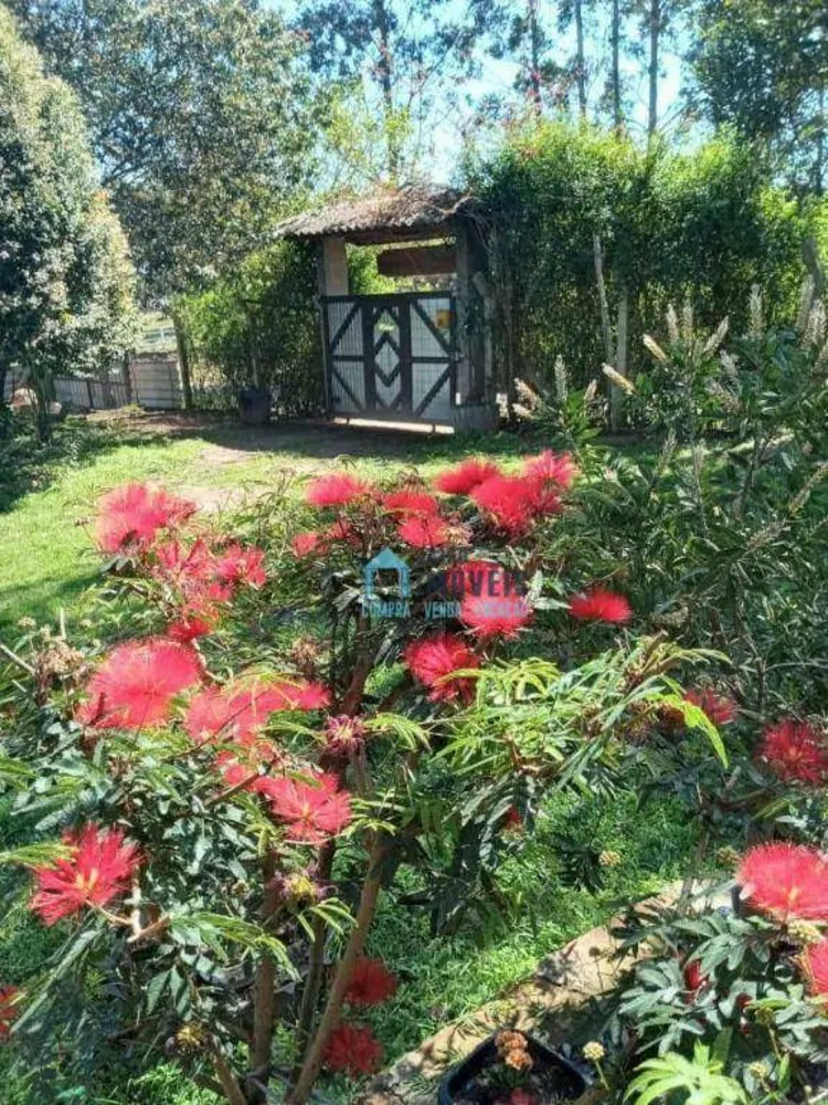 Sítio, 3 quartos, 1 hectares - Foto 7