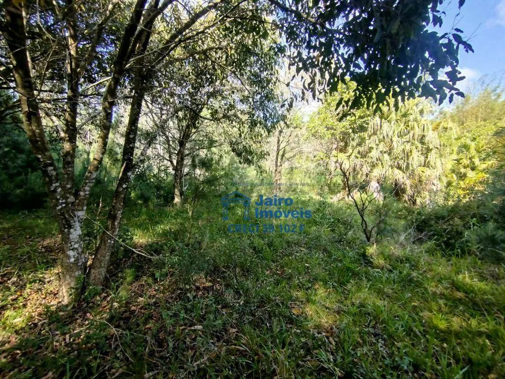 Sítio, 5153 m² - Foto 9