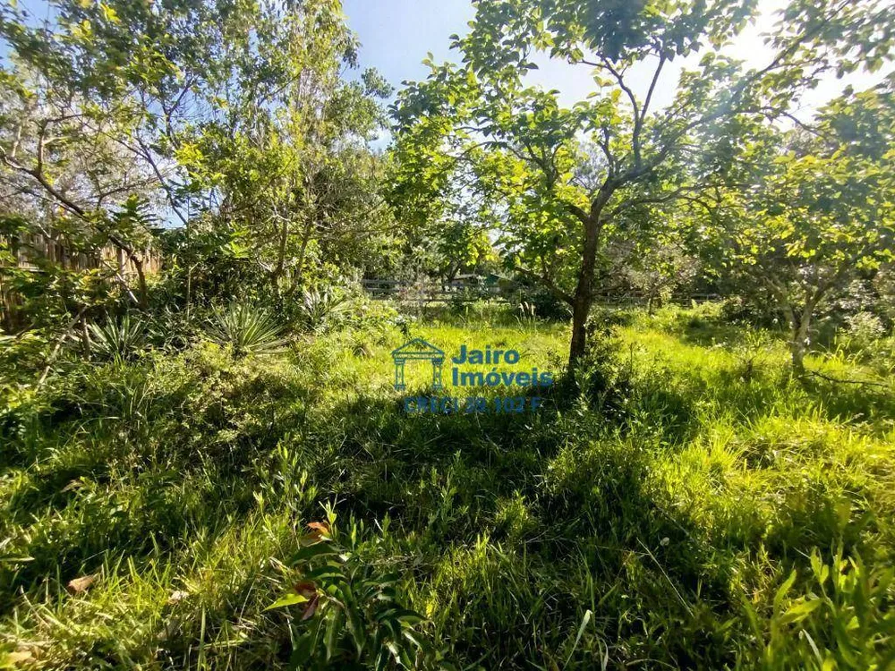 Sítio, 5153 m² - Foto 14
