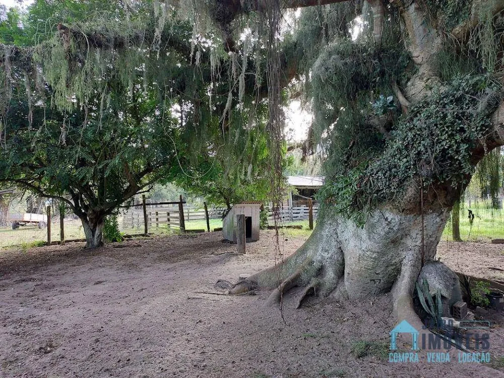 Sítio, 3 quartos, 13 hectares - Foto 6
