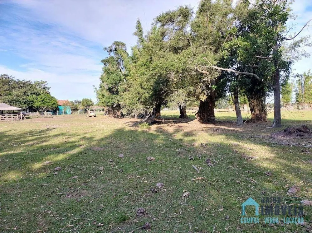 Sítio, 3 quartos, 13 hectares - Foto 13