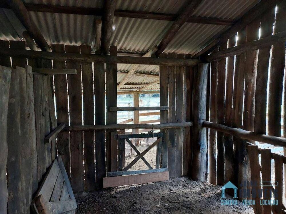 Sítio, 3 quartos, 13 hectares - Foto 3