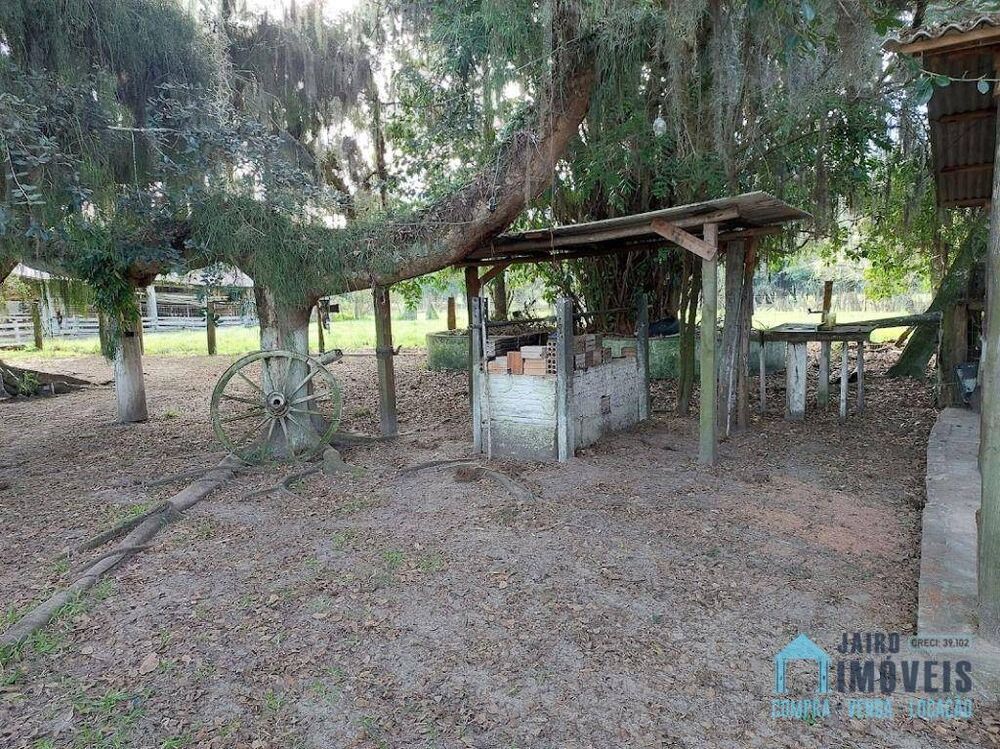 Sítio, 3 quartos, 13 hectares - Foto 4