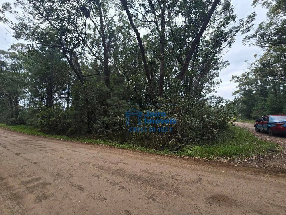 Terreno, 560 hectares - Foto 7
