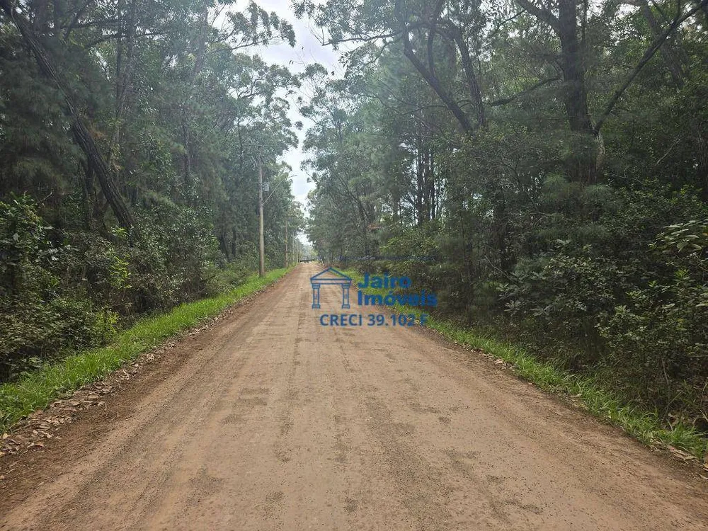 Terreno, 560 hectares - Foto 4