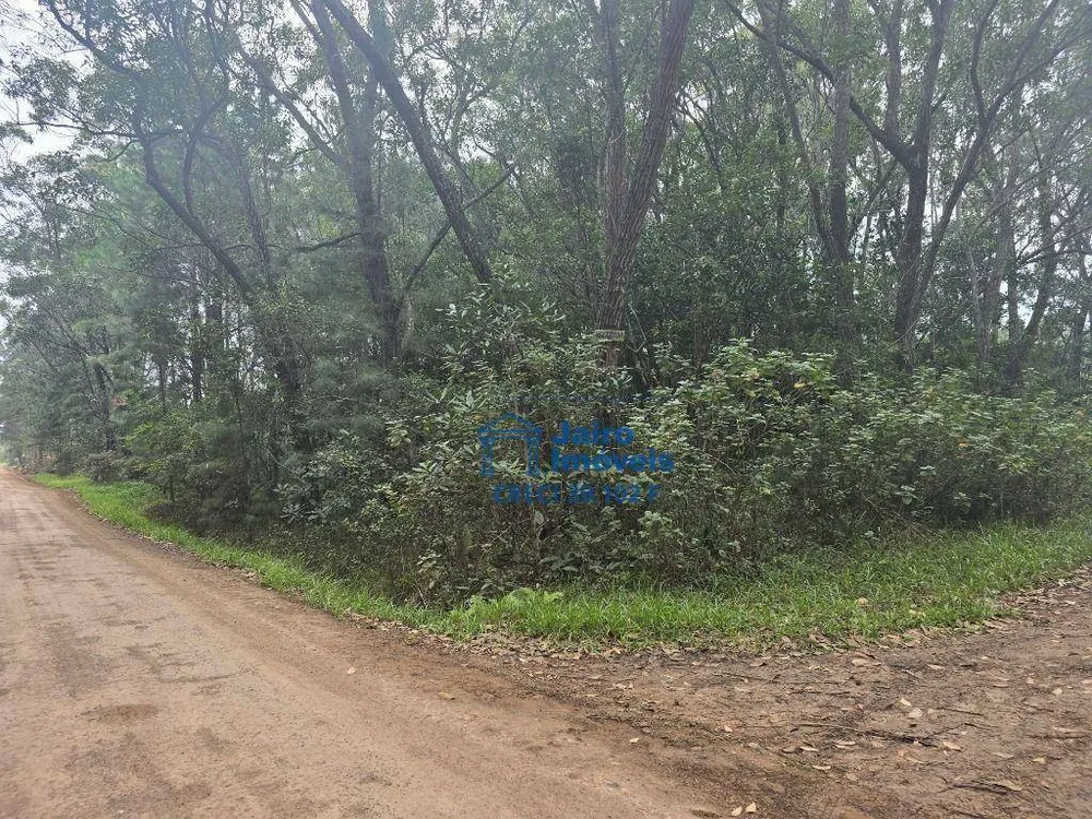 Terreno, 560 hectares - Foto 2