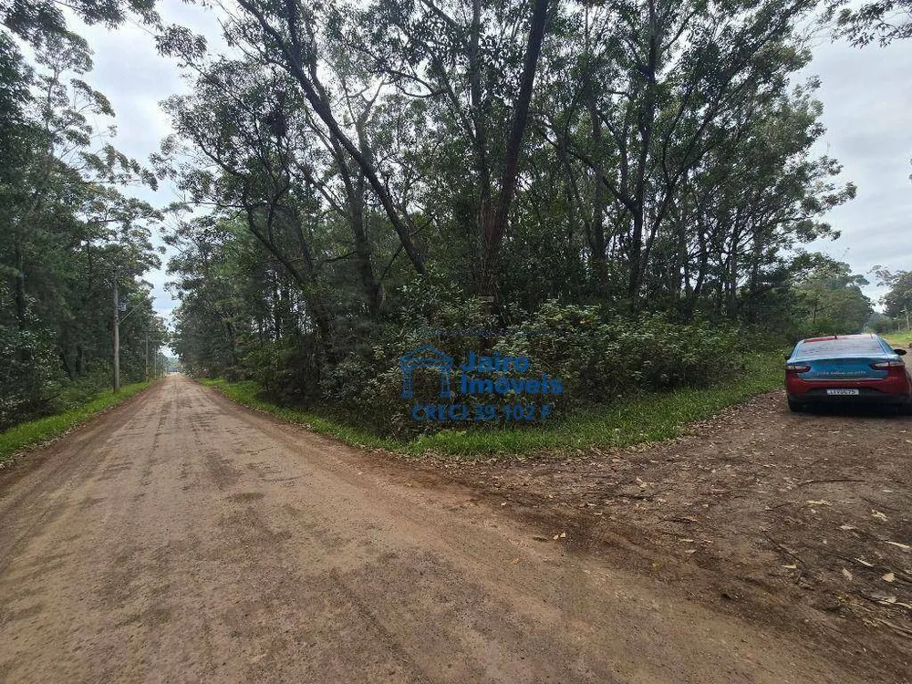 Terreno, 560 hectares - Foto 3