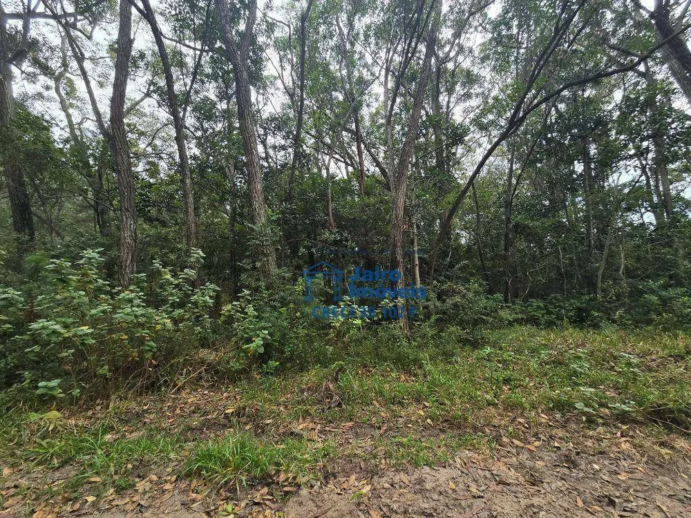 Terreno, 560 hectares - Foto 6