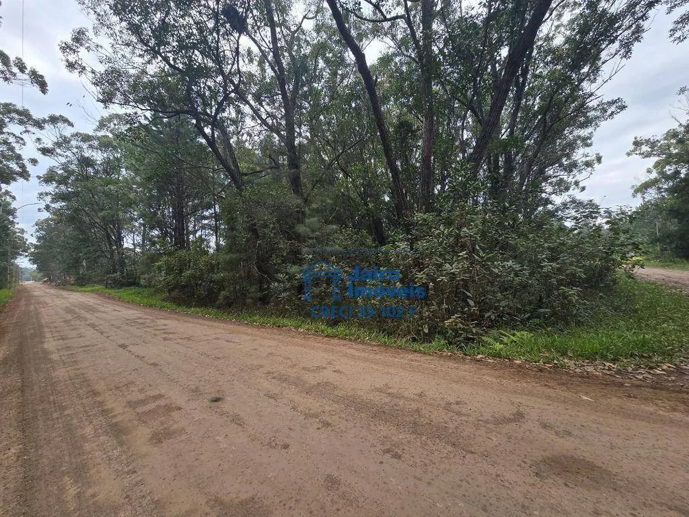 Terreno, 560 hectares - Foto 8