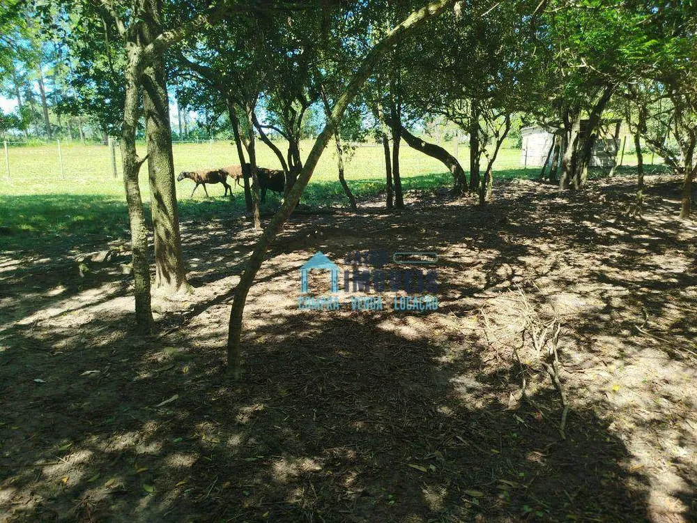 Sítio, 2 quartos, 4 hectares - Foto 21