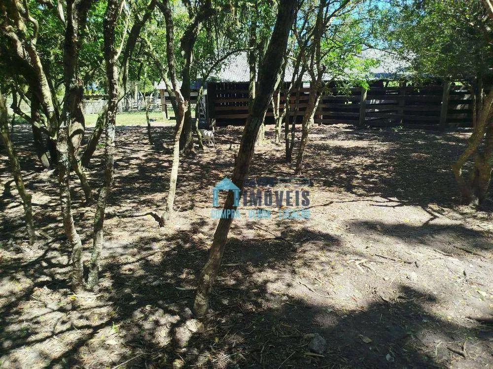 Sítio, 2 quartos, 4 hectares - Foto 22