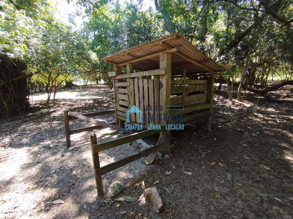 Sítio, 2 quartos, 4 hectares - Foto 23