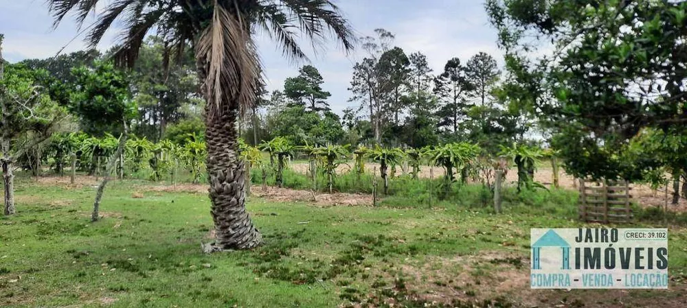 Sítio, 2 quartos, 4 hectares - Foto 18