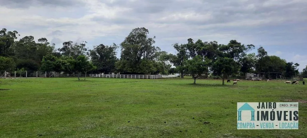 Sítio, 2 quartos, 4 hectares - Foto 20
