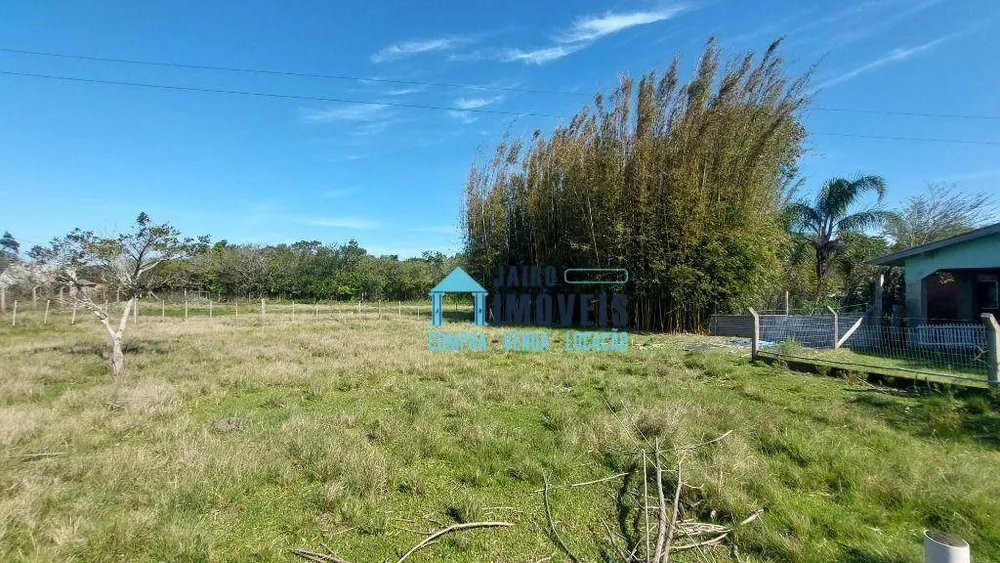 Sítio, 4 quartos, 4000 m² - Foto 7