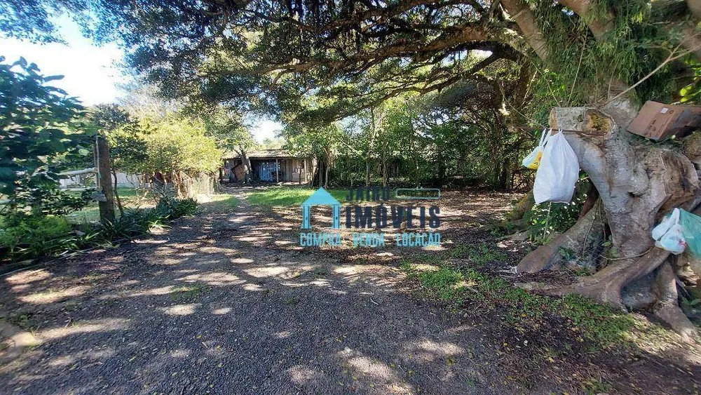 Sítio, 4 quartos, 4000 m² - Foto 11