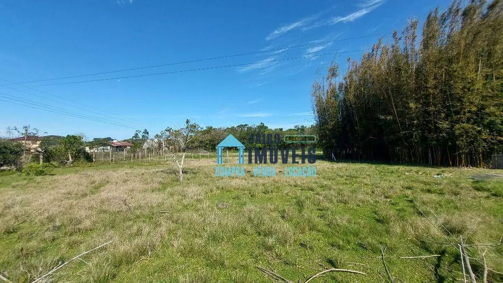 Sítio, 4 quartos, 4000 m² - Foto 8