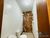 Casa, 3 quartos, 90 m² - Foto 3