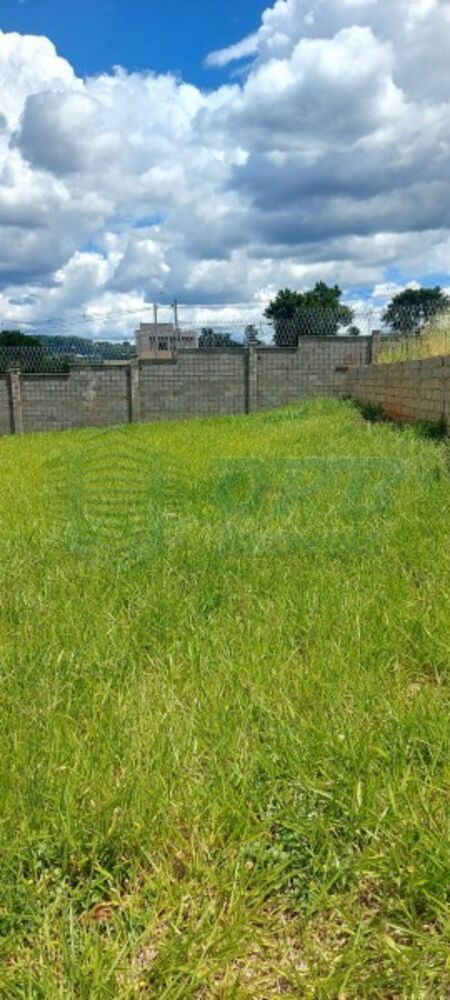 Terreno - Foto 7