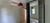 Apartamento - Foto 3
