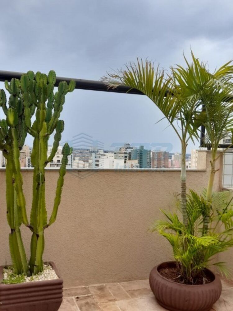 Apartamento - Foto 12