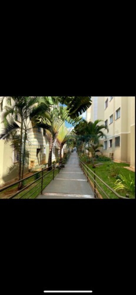 Apartamento - Foto 3