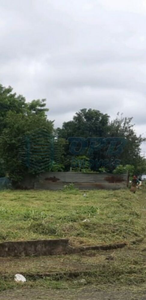 Terreno - Foto 2