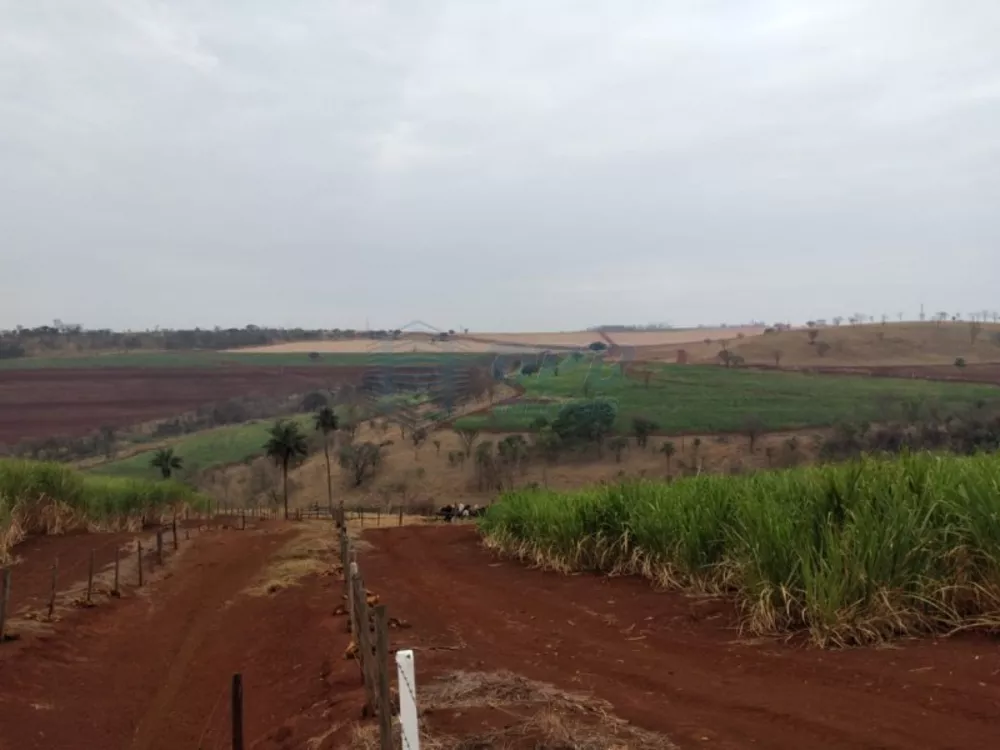 Fazenda à venda - Foto 4