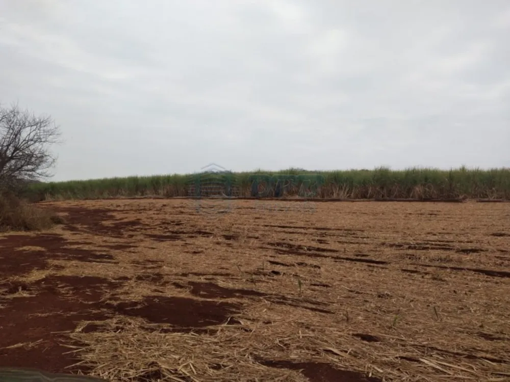 Fazenda - Foto 4