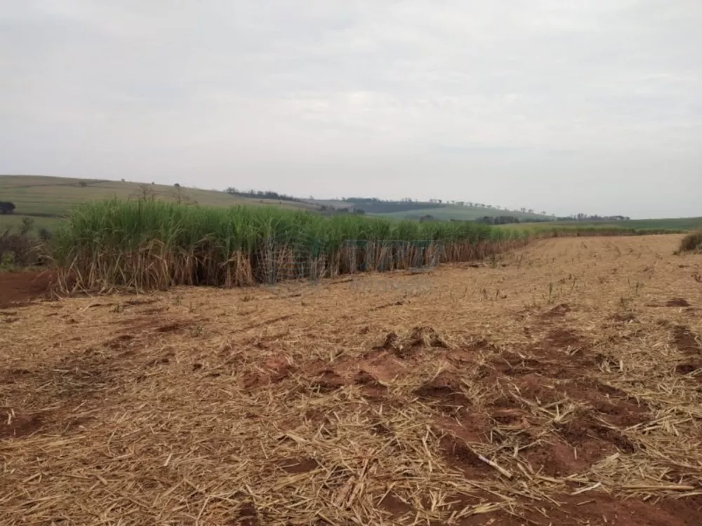 Fazenda à venda - Foto 1