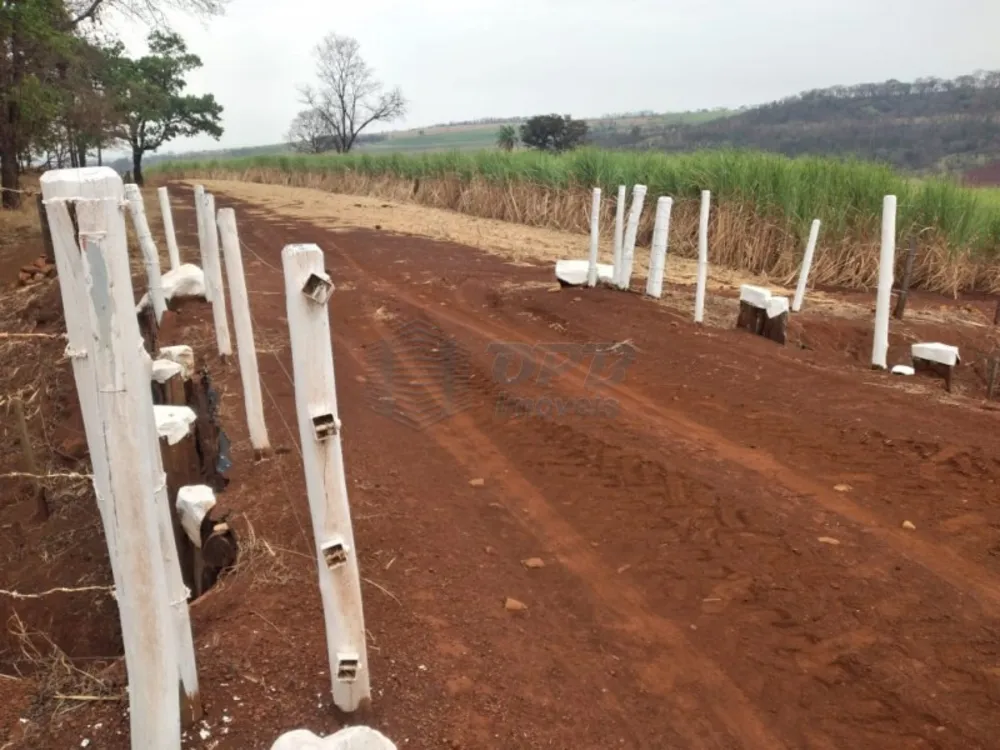 Fazenda - Foto 2