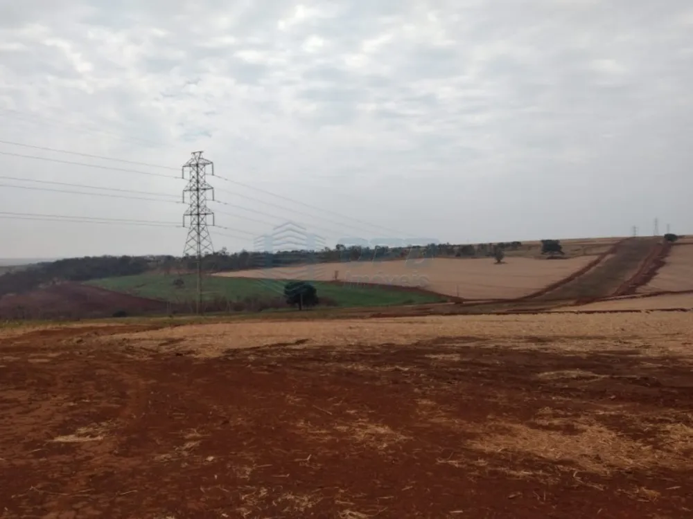 Fazenda - Foto 3