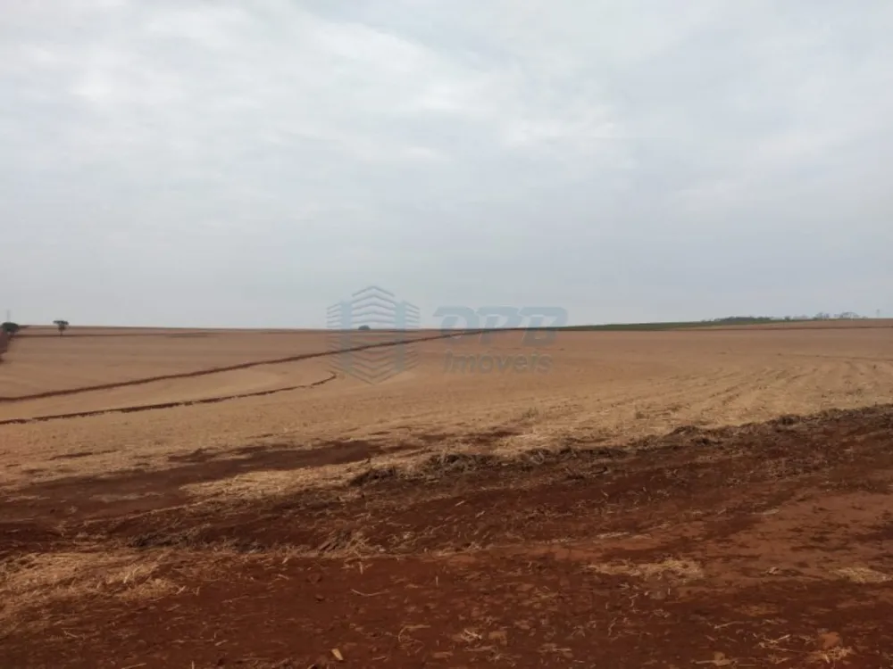 Fazenda - Foto 1
