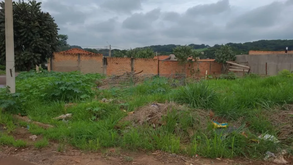 Terreno à venda - Foto 3