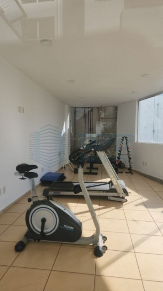 Apartamento - Foto 1