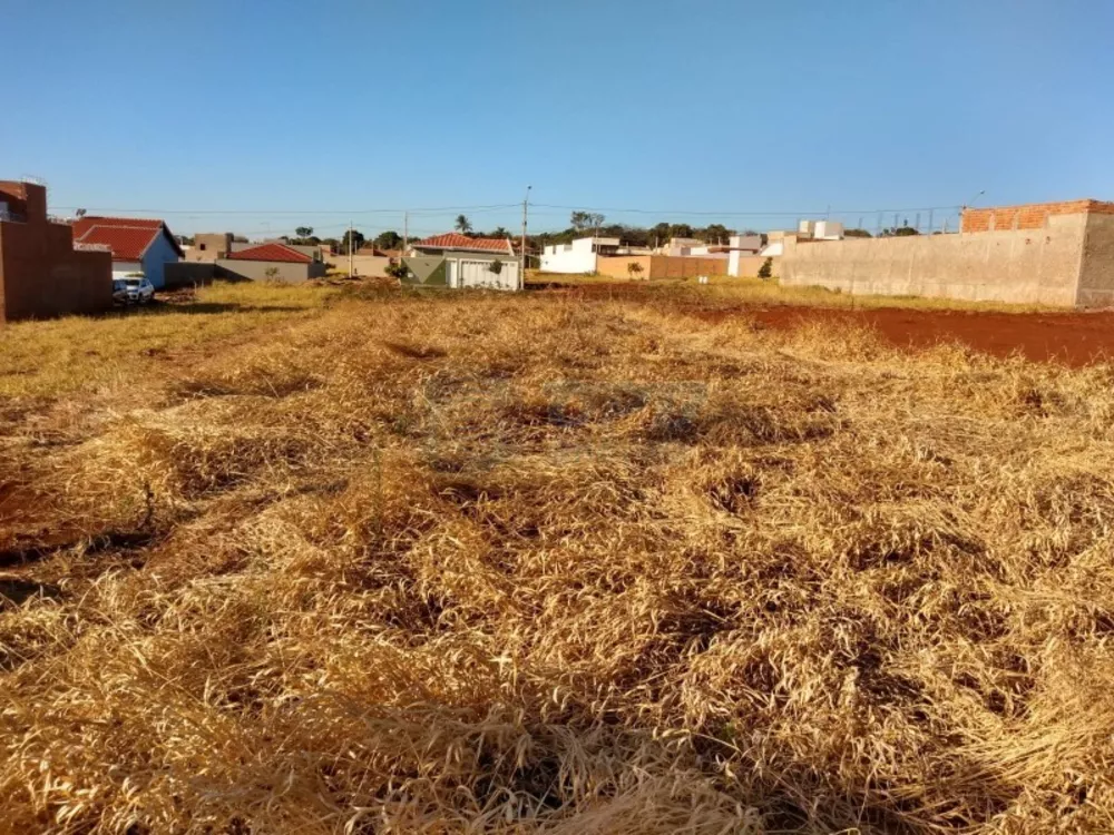 Terreno à venda - Foto 1